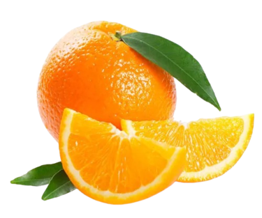 Fotolia_61195341_Subscription_Monthly_M-removebg-preview